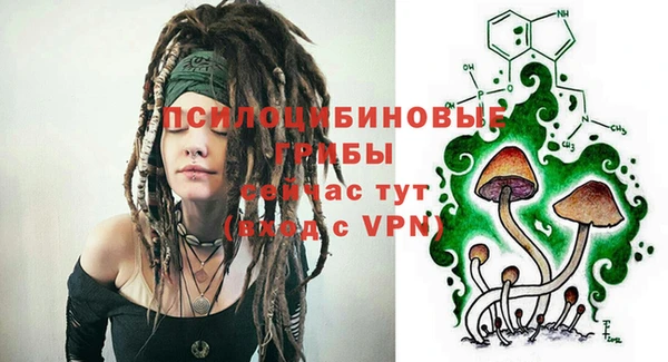 mdpv Балахна