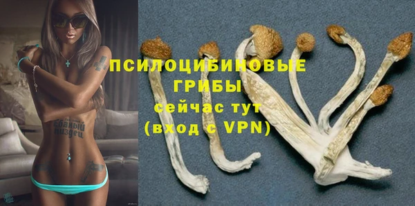 mdpv Балахна