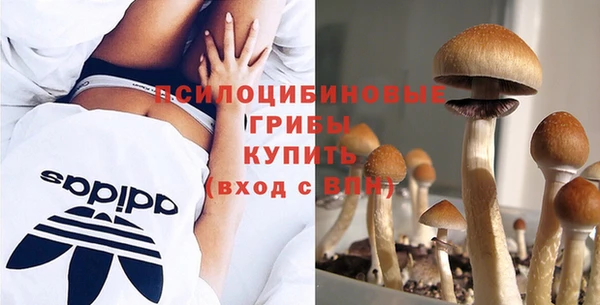 mdpv Балахна